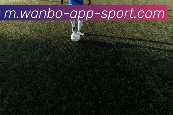 App Interface Preview